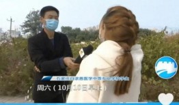 河北女生爆料视频最新,揭秘校园霸凌背后的真相